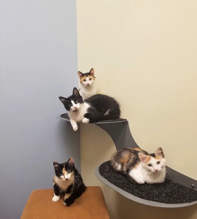 South Park Animal Hospital 1