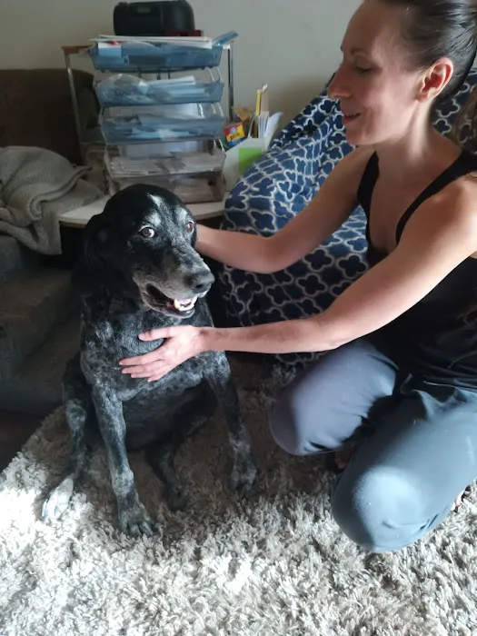 Spirit Vet ATX House Calls & Consulting 1