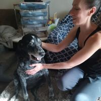 Spirit Vet ATX House Calls & Consulting ico
