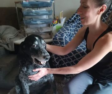 Spirit Vet ATX House Calls & Consulting
