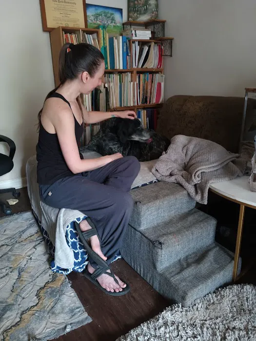 Spirit Vet ATX House Calls & Consulting 2