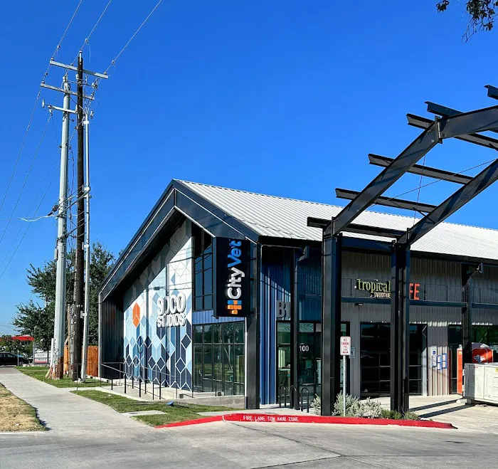 CityVet | South Austin 1