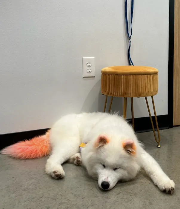 Roots Integrative Veterinary Care 4