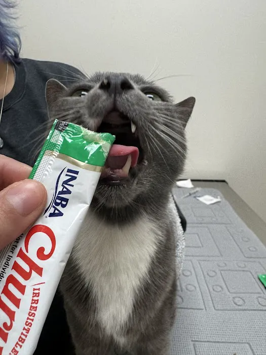 Meow Bark Veterinary 6