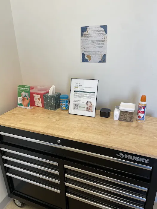 Meow Bark Veterinary 5