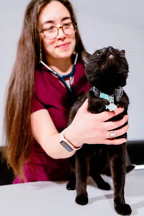 Meow Bark Veterinary 1