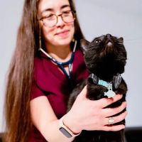 Meow Bark Veterinary ico
