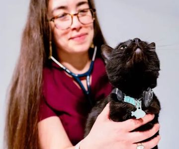 Meow Bark Veterinary