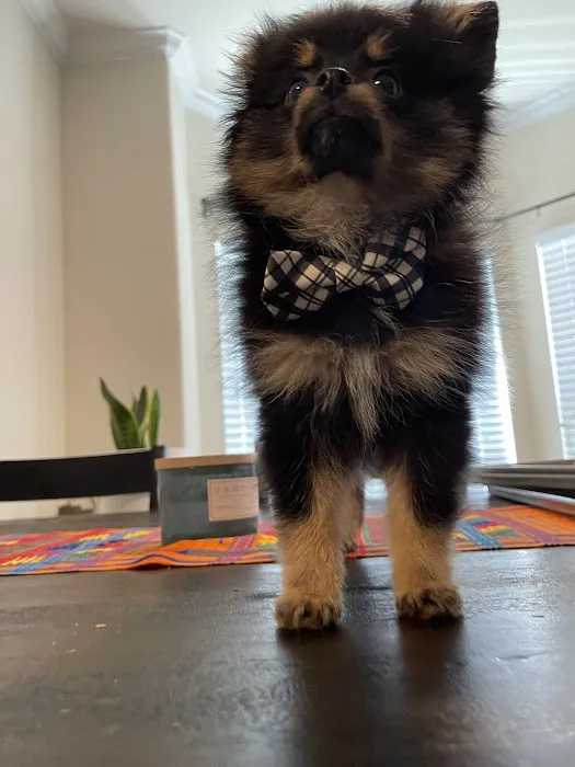 Century Animal Hospital 9