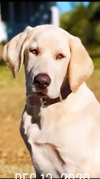 Century Animal Hospital 2