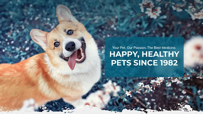 Century Animal Hospital 3
