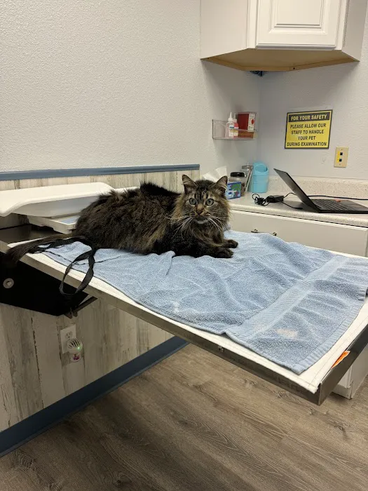 Century Animal Hospital 4