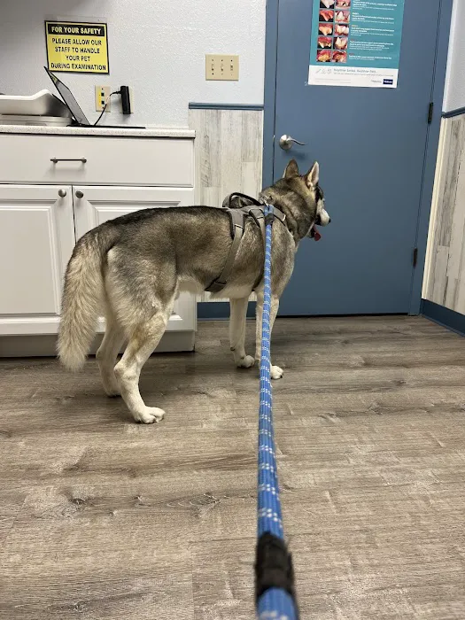 Century Animal Hospital 10