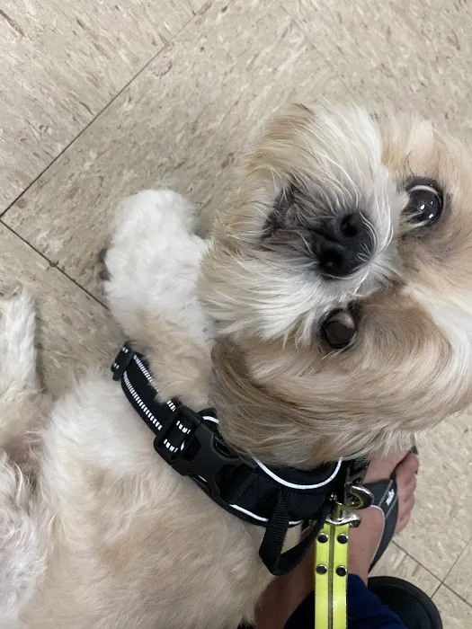 South Austin Pet Clinic 3