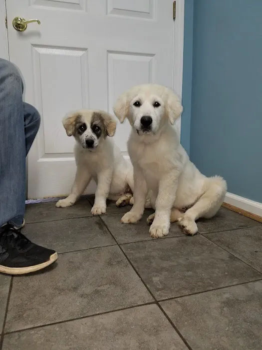 Staunton River Veterinary Clinic 12
