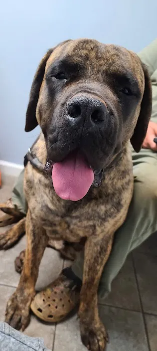 Staunton River Veterinary Clinic 12