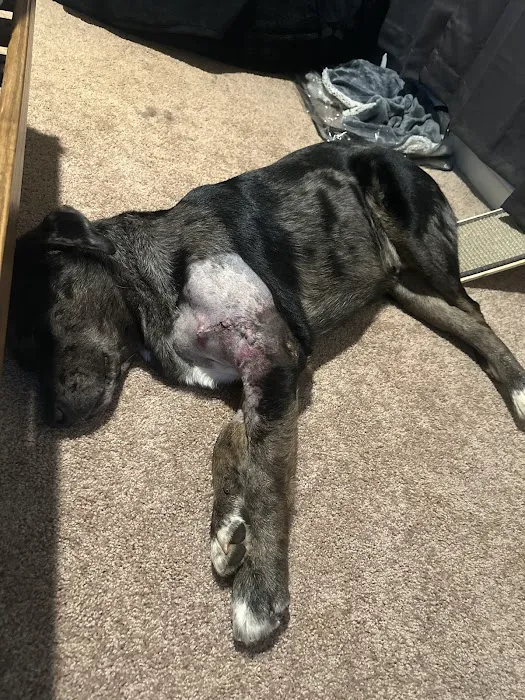 Staunton River Veterinary Clinic 12