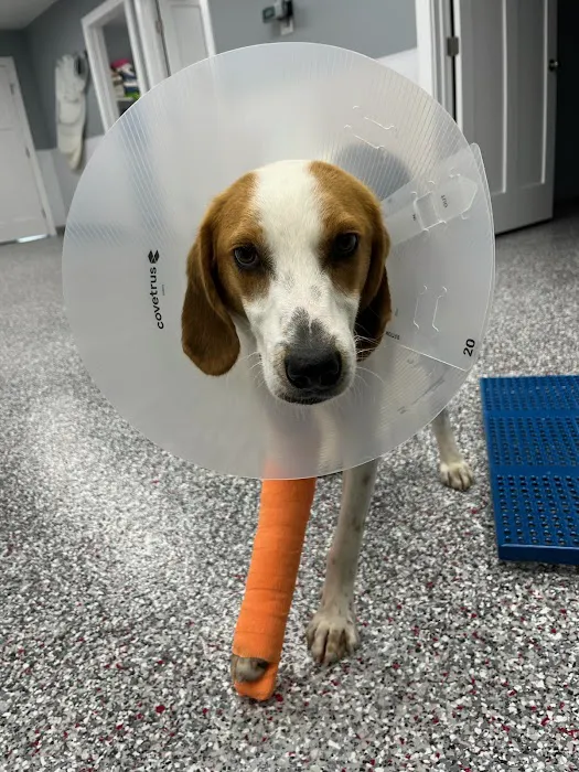Hightowers Animal Hospital 7