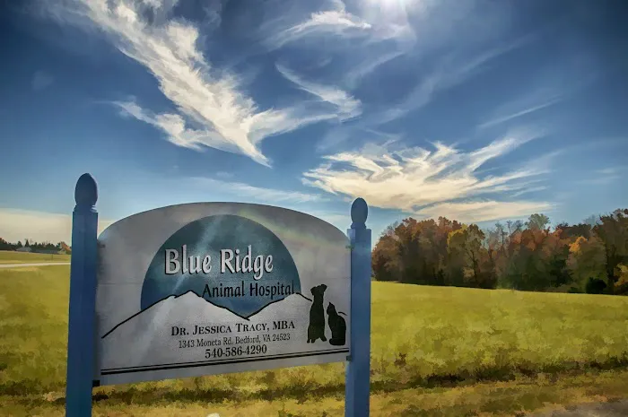 Bluestone Veterinary Services 12
