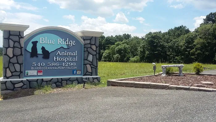 Bluestone Veterinary Services 12