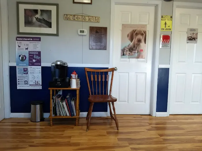 Bluestone Veterinary Services 12