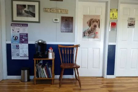 Bluestone Veterinary Services