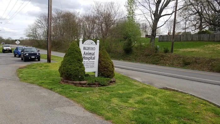 Bedford Animal Hospital 12