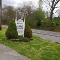 Bedford Animal Hospital ico