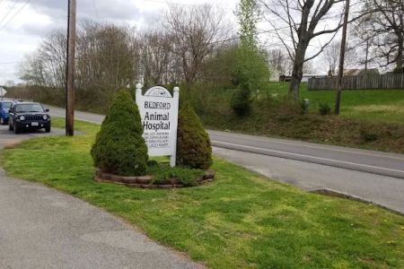 Bedford Animal Hospital
