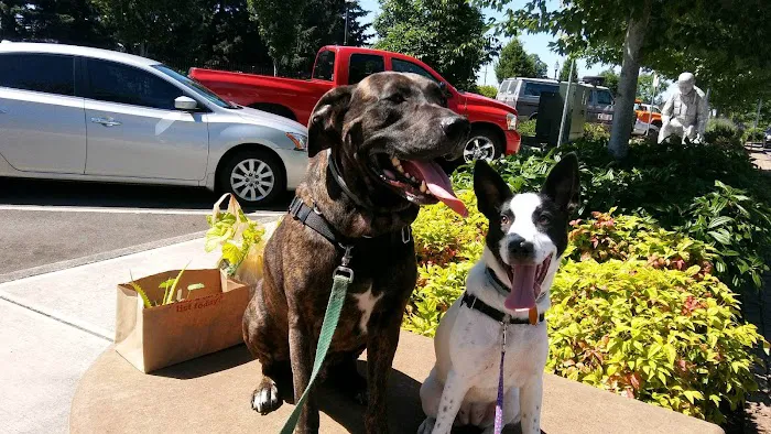 Crossroads Veterinary Hospital 7