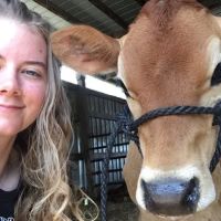 Crossroads Veterinary Hospital ico