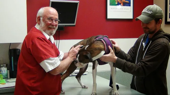 Crossroads Veterinary Hospital 2