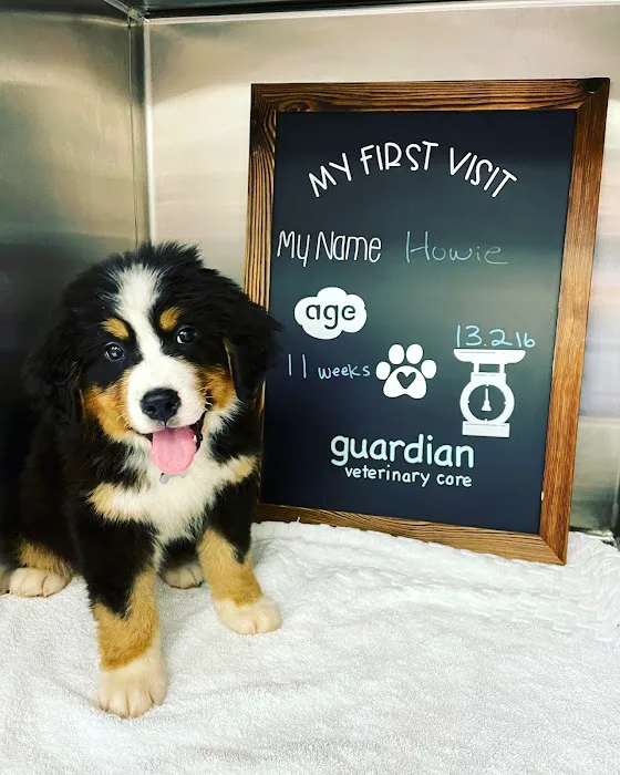 Guardian Veterinary Care 1