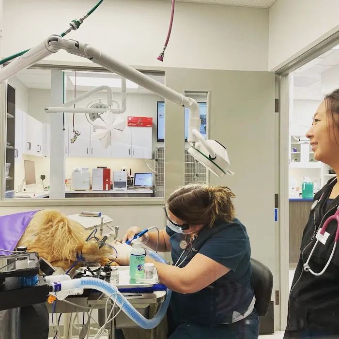 Guardian Veterinary Care 9