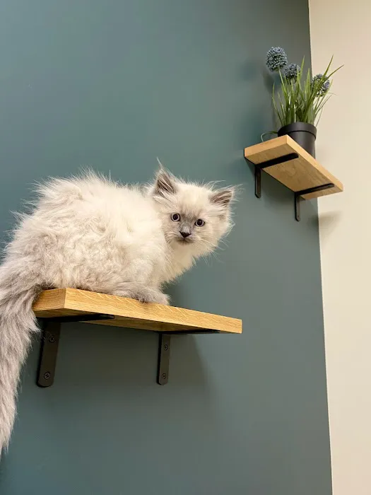 Guardian Veterinary Care 5
