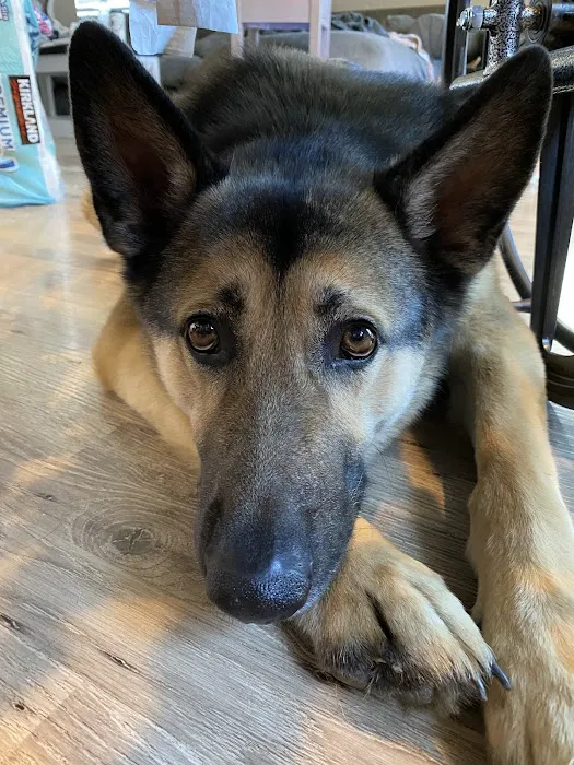 Companion Pet Clinic 12