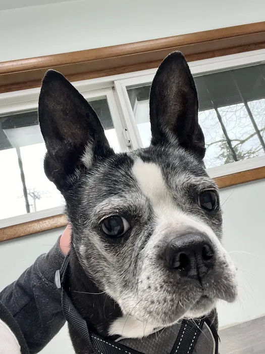 Hoffman Veterinary Clinic 12
