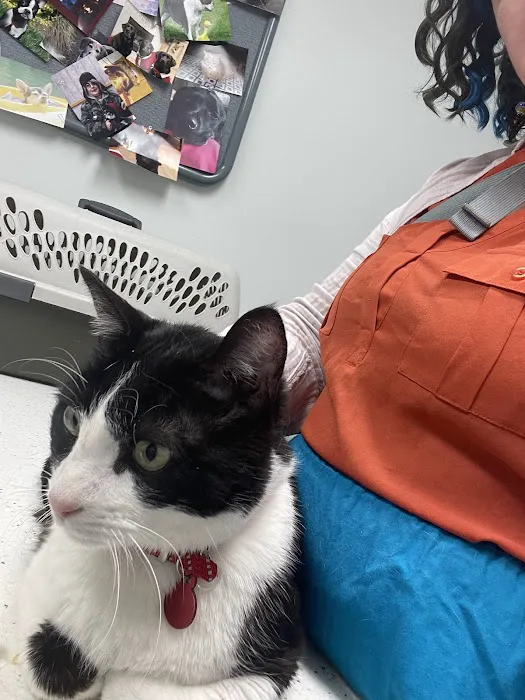 Hoffman Veterinary Clinic 12