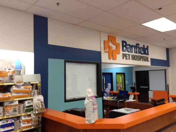 Banfield Pet Hospital 4