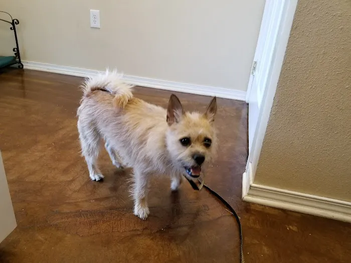 Evergreen Veterinary Hospital 12
