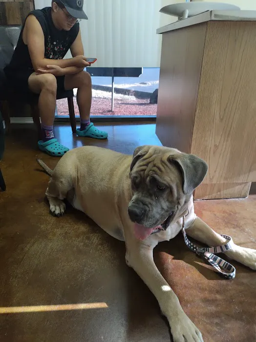 Evergreen Veterinary Hospital 12