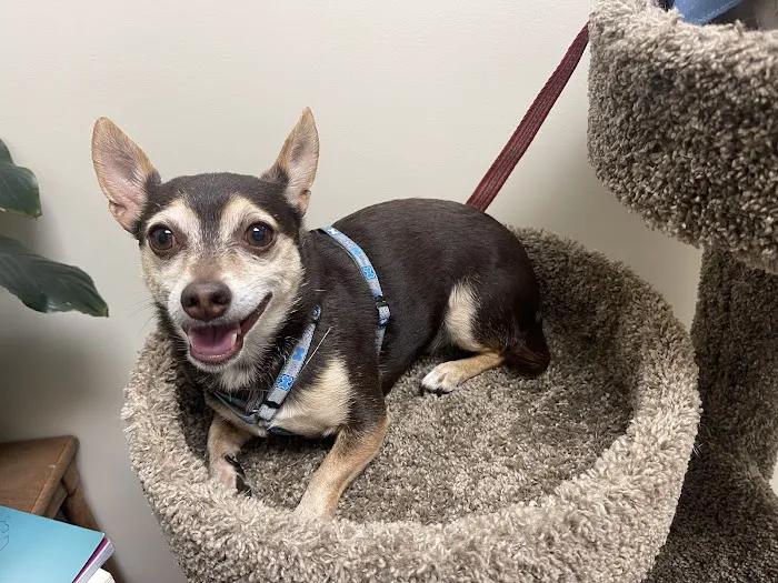 Vetco Total Care Animal Hospital 12