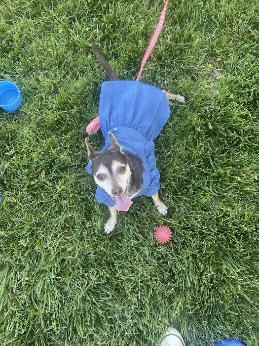 Vetco Total Care Animal Hospital 12