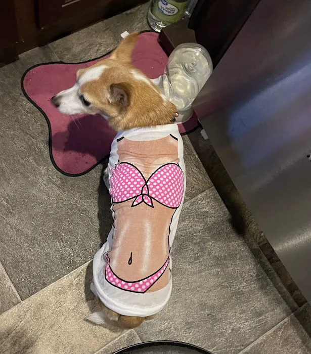 Vetco Total Care Animal Hospital 12