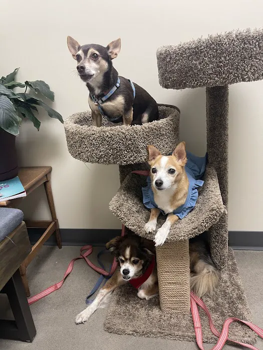 Vetco Total Care Animal Hospital 12