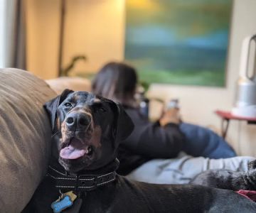 Creekside Veterinary Clinic
