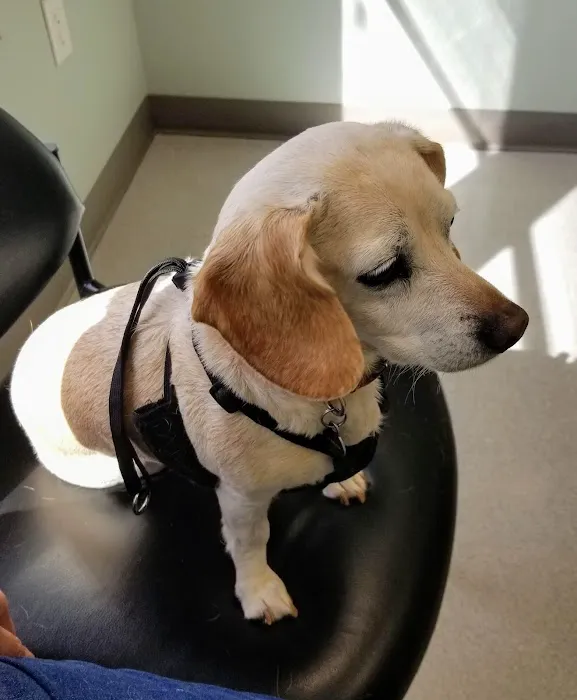 Creekside Veterinary Clinic 12