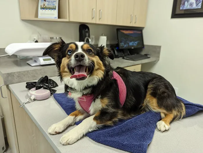Creekside Veterinary Clinic 12