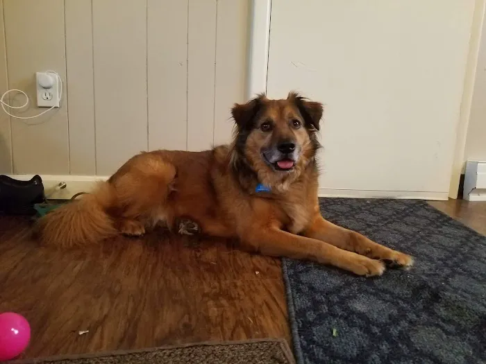 Creekside Veterinary Clinic 12