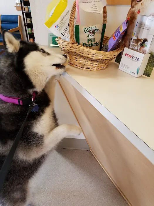 Family Pet Clinic 5